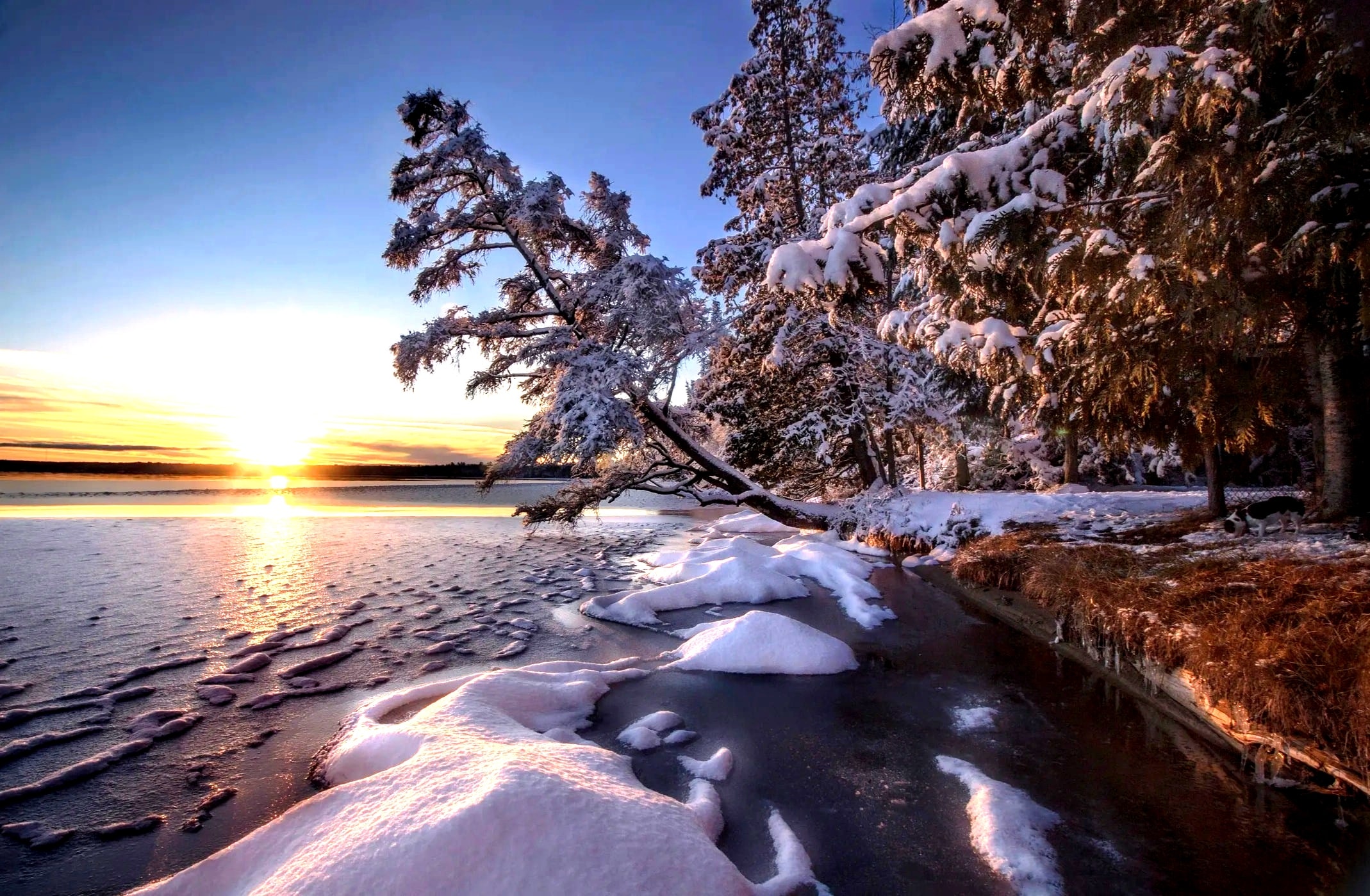Frozen lake on the Enchanted Acres property in winter